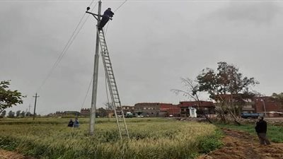 عاصفة التنين | سقوط شجرة وأسلاك كهرباء في الدقهلية