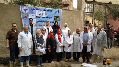 قافلة بيطرية من 