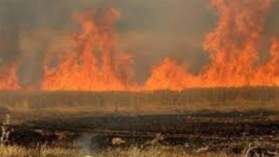 اندلاع حريق في 10 أفدنة قصب بقنا