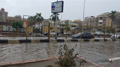هطول أمطار غزيرة على الغربية وقطع المياه عن المحافظة | صور