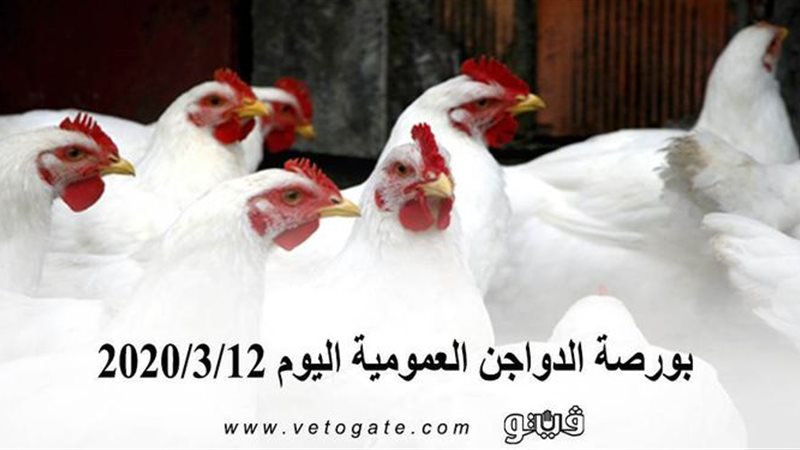 فيتو