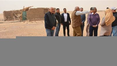 محافظ الوادى الجديد يخصص 200 فدان للمضارين من النمل الأبيض| صور