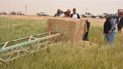 محافظ الوادي الجديد يتفقد أعمال إعادة تركيب أبراج الكهرباء المتساقطة بباريس | صور