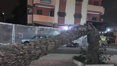 اقتلاع أشجار وانقطاع الكهرباء.. أبرز أضرار عاصفة التنين بالبحر الأحمر | صور