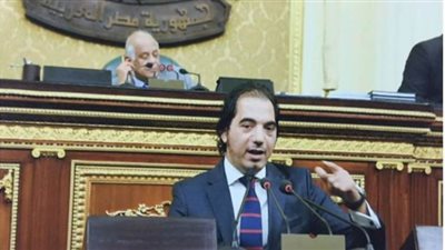 برلماني يطالب الحكومة بالتركيز على الاستثمارات المحلية بعد انتشار كورونا