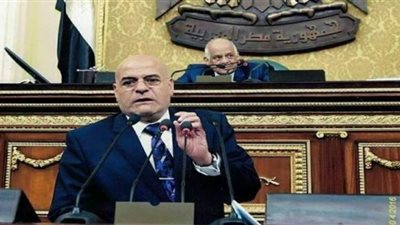برلماني: الحكومة تعاملت بنضج مع التقلبات الجوية