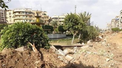 تحذير لسكان القاهرة.. الرياح قادرة على اقتلاع الأشجار من جذورها