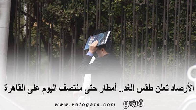 فيتو