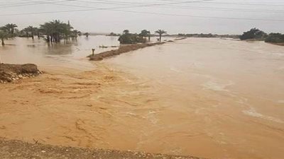 السيول تتسبب في إجلاء 315 أسرة وتلف الزراعات في سنور القديمة ببني سويف | صور