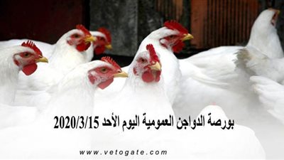 بورصة الدواجن العمومية اليوم الأحد 2020/3/15