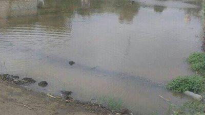 برلماني يتهم وزارة الزراعة بالتكاسل في معاينة الأراضى المتضررة من الأمطار