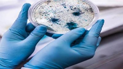 إنتاج مضادات لقتل الميكروبات.. 