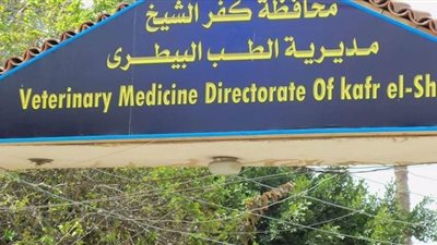 طب بيطري كفرالشيخ يعالج 8750 طائرا ويحصن 32770 ضد الأمراض الوبائية