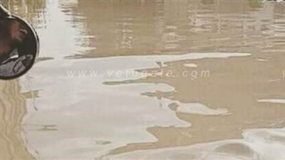 أهالى قرية منشأة السلام يستغيثون بمحافظ الدقهلية بسبب محاصرة مياه الأمطار لمنازلهم