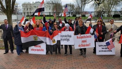 20 ألف من المصريين بالخارج والداخل يشاركون في دعم حق مصر بالتوقيع إلكترونيا