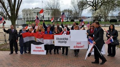 رسالة من أبناء إثيوبيا وكينيا دعما لحق مصر في ماء النيل