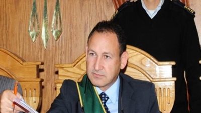 نائب رئيس مجلس الدولة يطالب بتشديد عقوبة بث الشائعات