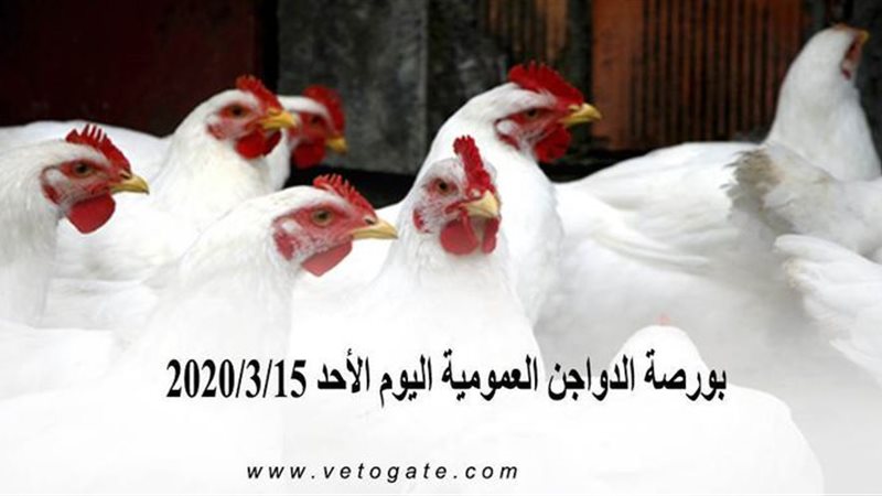 فيتو