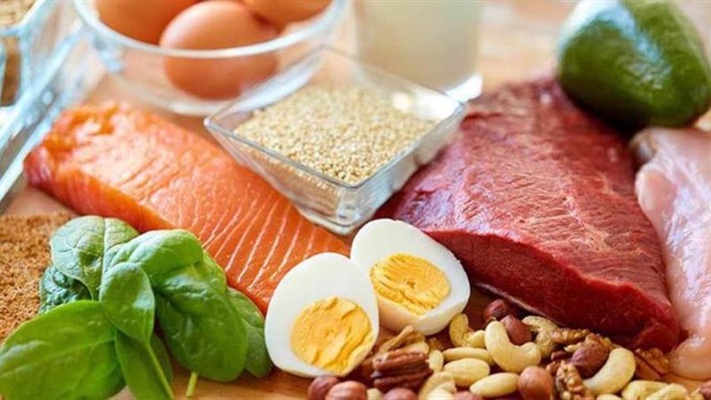 البروتين سلاحك لتقوية