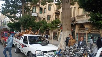 ١٠ آلاف غرامة والغلق الفورى عقوبة تقديم الشيشة بمقاهي القاهرة