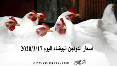 اسعار الدواجن البيضاء اليوم 2020/3/17