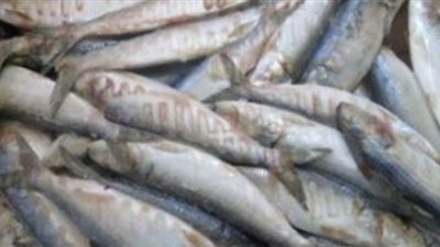 تعرف على العقوبة المتوقعة لحائزي المواد الغذائية الفاسدة