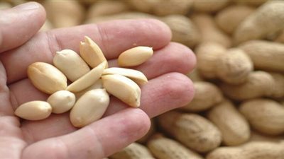 مواد غذائية غنية بالبروتينات تحرق الدهون