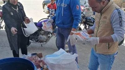ضبط كميات من اللحوم والأسماك الفاسدة خلال حملة بالوادي الجديد | صور