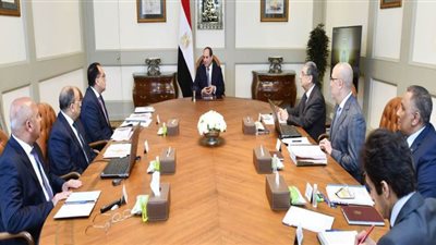 المشاط تستعرض أمام السيسي جهود وزارة التعاون الدولي مع الشركاء التنمويين الدوليين