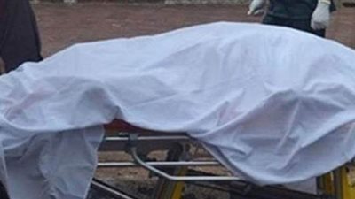 حصان يتسبب في مصرع صاحبه أثناء قيادته عربة كارو بالمنيا