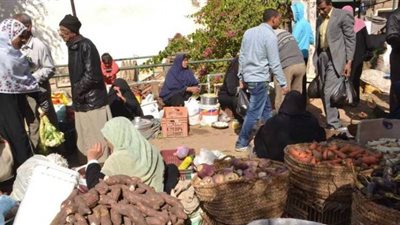 الوادي الجديد تعلق العمل بسوق الخميس الأسبوعي للوقاية من كورونا