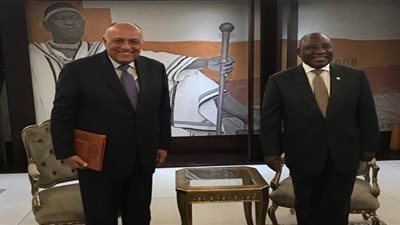 وزير الخارجية يسلم رئيس جنوب أفريقيا رسالة من السيسي بشأن سد النهضة