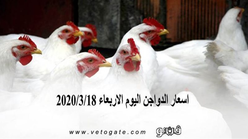 فيتو