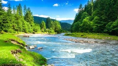 دراسة هولندية تؤكد: الرسول خير الدعاة للحفاظ على البيئة