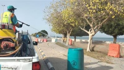 لمواجهة كورونا.. رش وتطهير أماكن الأسواق والمناطق المحيطة بها في الشرقية