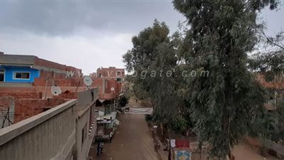 سقوط أمطار خفيفة على مناطق متفرقة بالغربية | صور