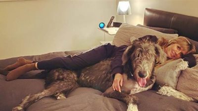 كيف تقضي هايدي كلوم أيامها منتظرة نتيجة تحليل فيروس كورونا | صور