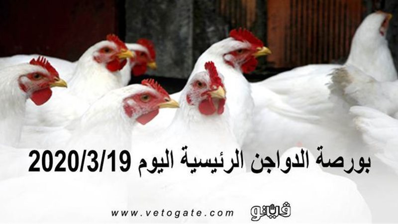 فيتو