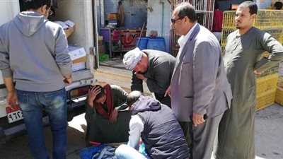 بيطري الوادي الجديد ينفذ حملات رقابية على السلع الغذائية واللحوم