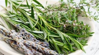 5 أعشاب لتقوية الجهاز المناعي ومقاومة الفيروسات.. تعرف عليها