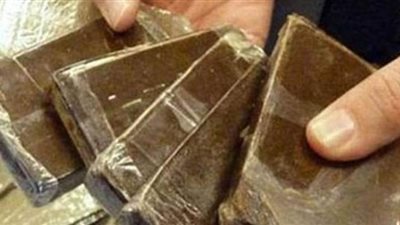 حجز حارس عقار بتهمة تصنيع الحشيش في الهرم