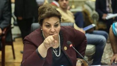 نائبة: عرض المشاكل الأسرية على مواقع التواصل الاجتماعي مخالفة للعادات والتقاليد