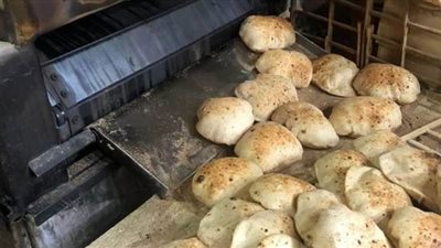 تموين الإسكندرية: رغيف الخبز متوافر للمواطنين ولا داع للقلق