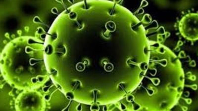 صبري المنياوي: فضَّلنا مد إجازة الفريق بسبب كورونا