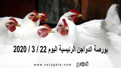 بورصة الدواجن الرئيسية اليوم 22 / 3 / 2020