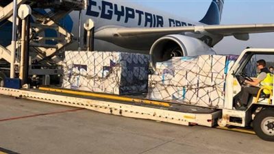 5 صور ترصد وصول طائرة المساعدات الطبية المصرية إلى مطار مالبينسا في إيطاليا