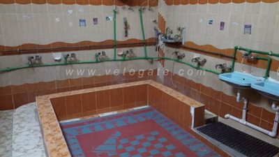 حملة لتطهير المراحيض العامة والميادين في قنا | صور