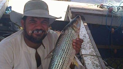 صياديو بحيرة ناصر فى أسوان يطالبون عدم توقف الصيد