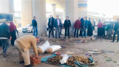 إزالة سوق سندوب العشوائي بالمنصورة لمواجهة انتشار فيروس كورونا