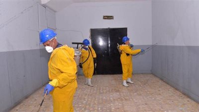 6 مبادرات شبابية لمواجهة فيروس كورونا وتوفير احتياجات الأسر في البحيرة